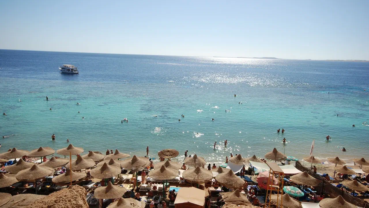 الفندق دايف ان ريزورت - شرم الشيخ